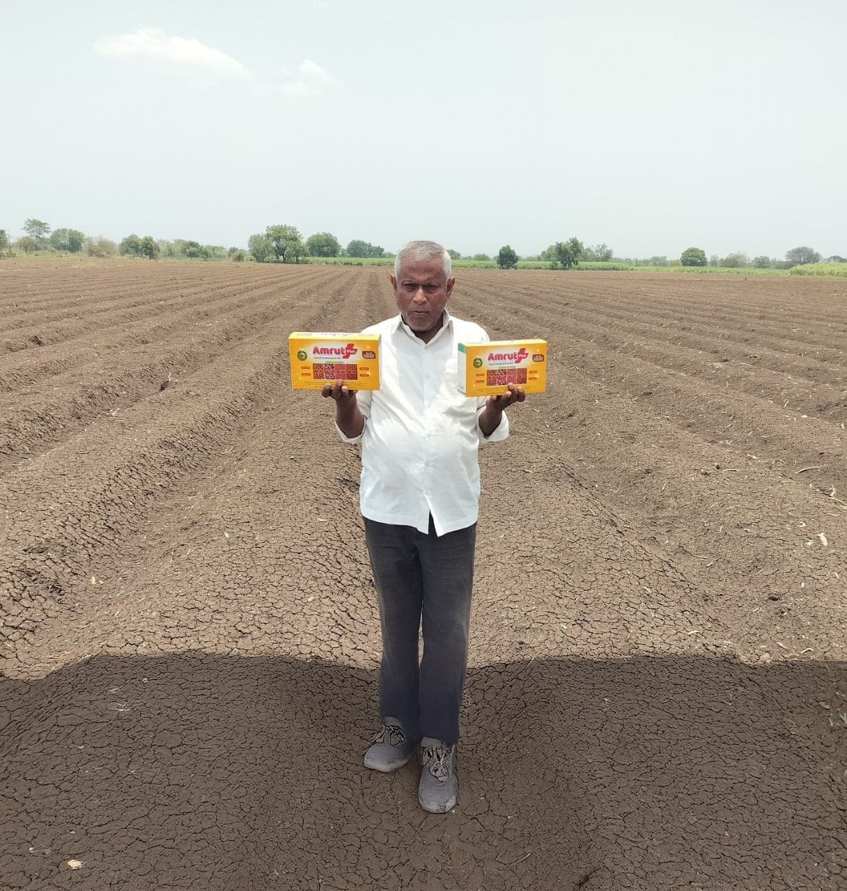 Customer photo review of Amrut Plus Seed Treatment Kit