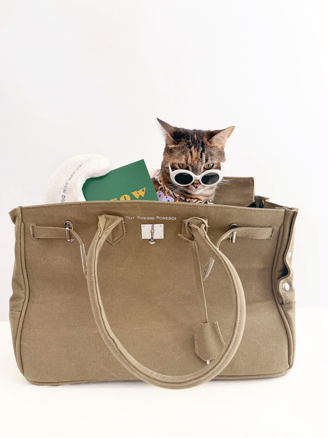 Customer photo review of The Barkin Pet Carrier
