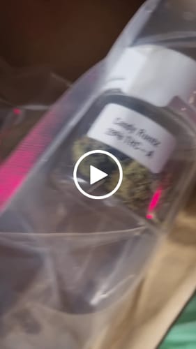 Customer video review of Candy Runtz 28% THCA
