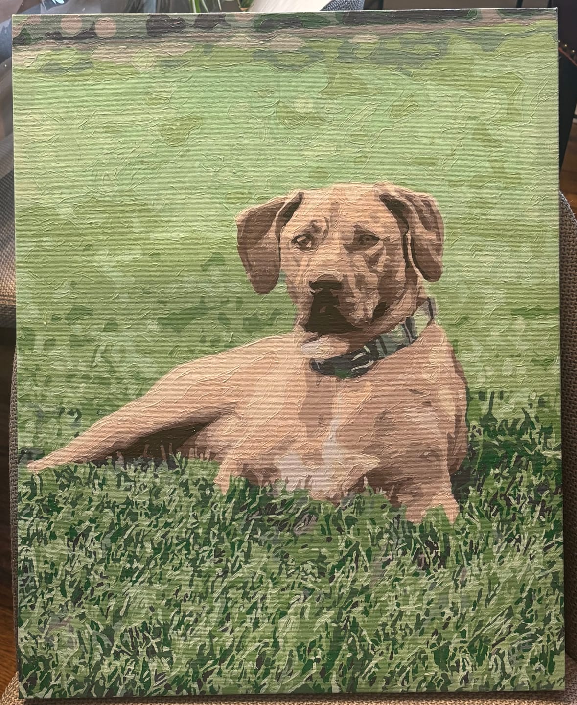 Customer photo review of Custom Paint by Numbers Kit