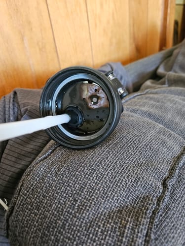 Customer photo review of Replacement Lid for Push Bottle