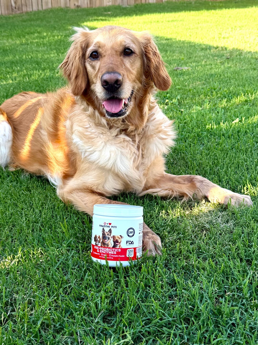 Customer photo review of Pre+Probiotics for Dogs Digestive Health – 120 Soft Chews