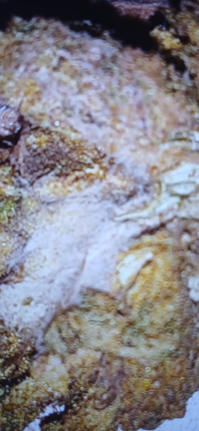 Customer photo review of Butterscotch OG - Bulk - Indica