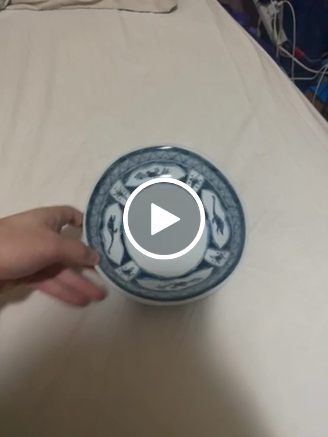 Customer video review of Edo-style Dinosaur Deep Oval Dish – Water Dragon