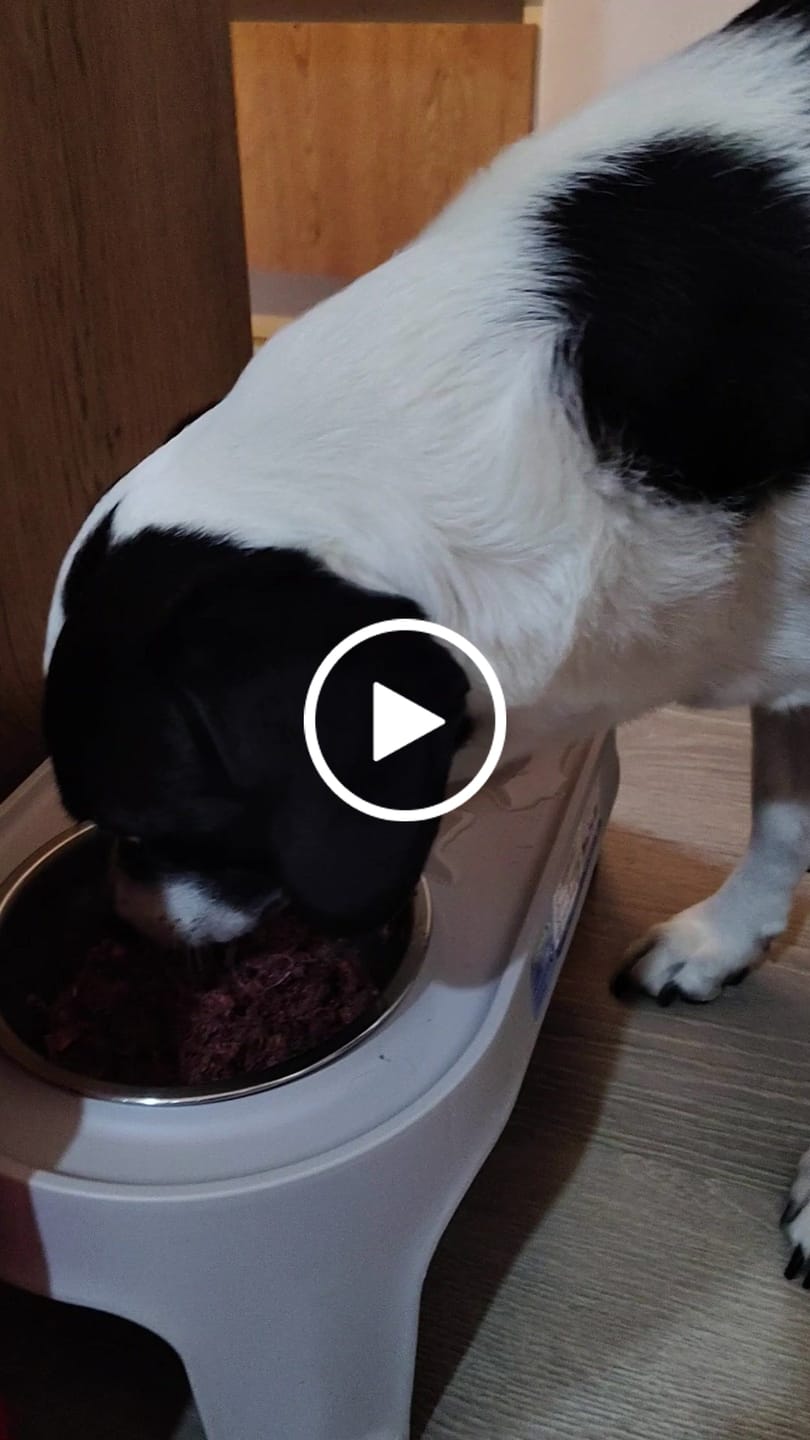 Customer video review of Delilonjas carne, frutas y verduras 4kg