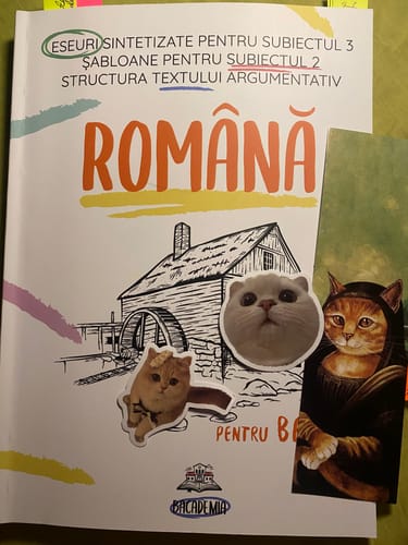 Recenzie cu fotografie de la un client despre Carte Română Bacalaureat Bacademia (temă și viziune, caracterizare, relație) - Ediția II
