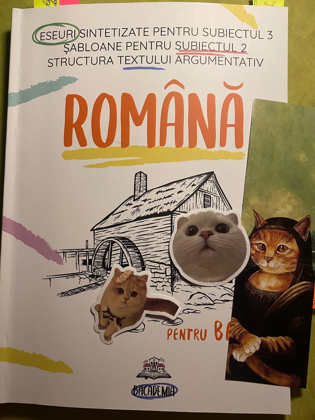 Customer photo review of Carte Română Bacalaureat Bacademia (temă și viziune, caracterizare, relație) - Ediția II