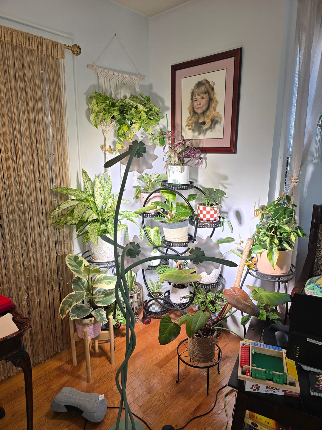Customer photo review of Houseplant Pest Spray