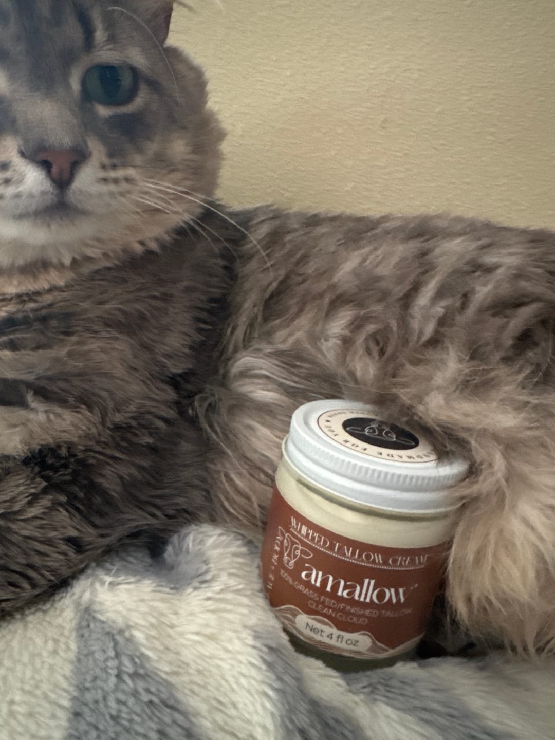 Customer photo review of Whipped Tallow Cream - Clean Cloud
