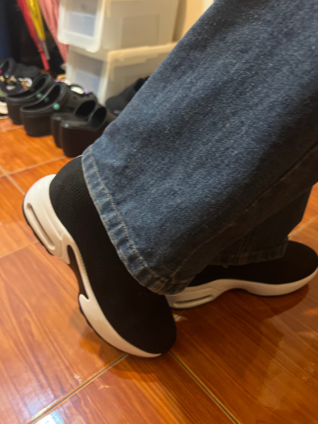 Customer photo review of Starlight - 9cm (3.5")