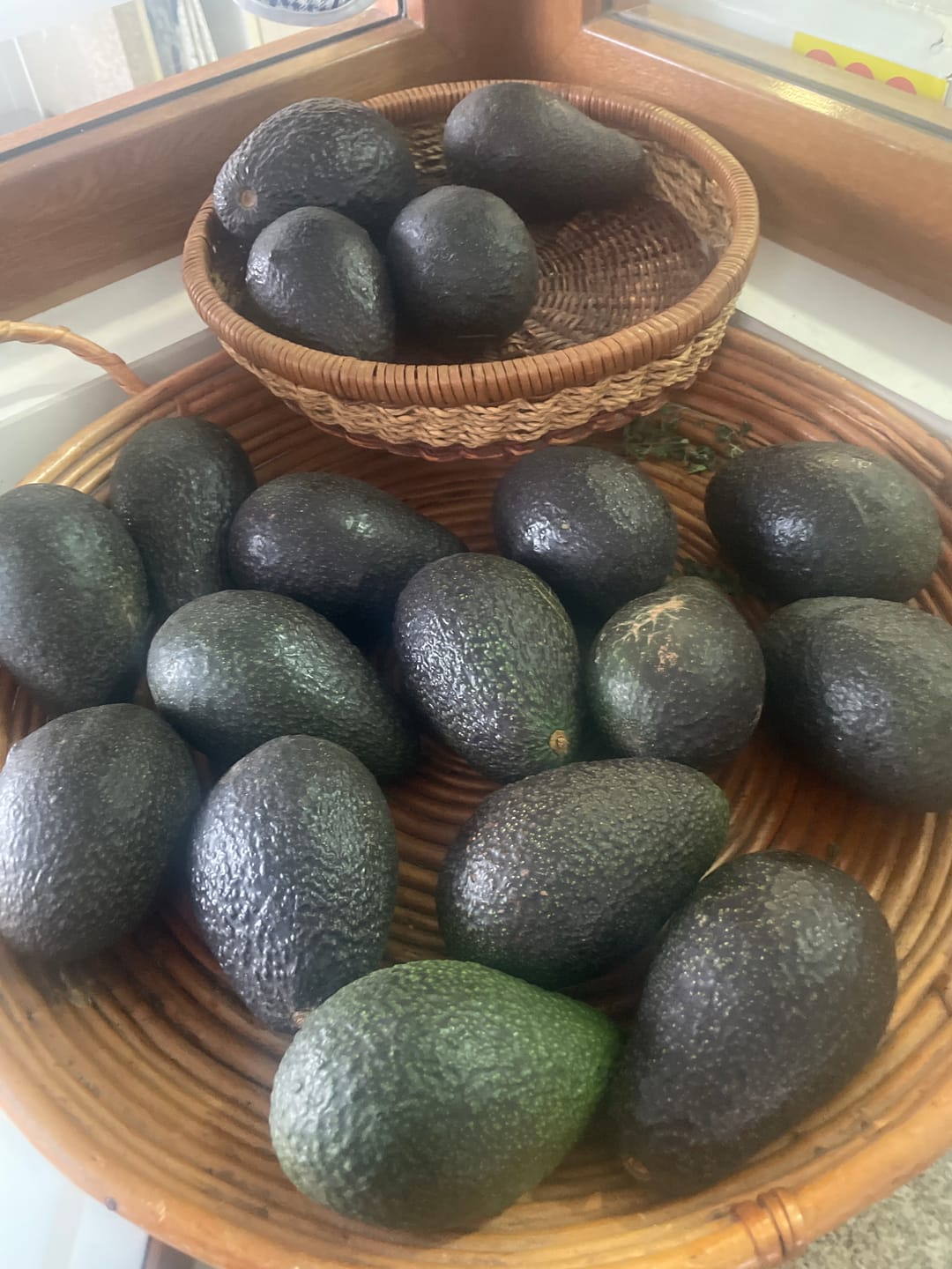 Customer photo review of 5 kg Palta Hass Chilena