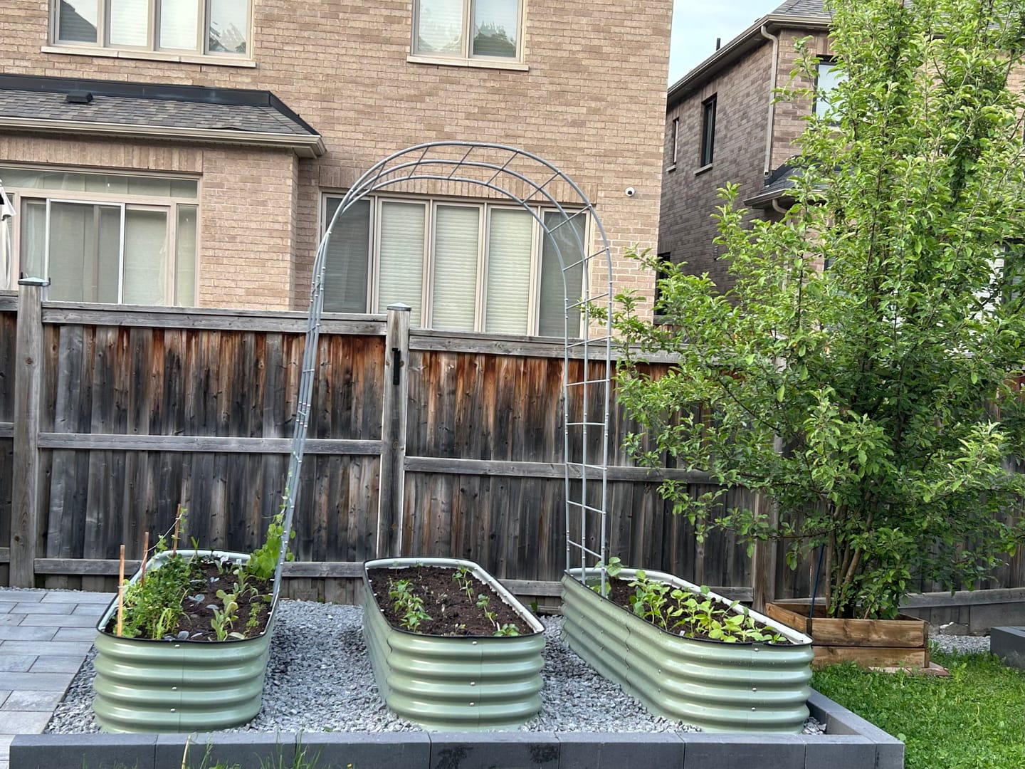 Customer photo review of Arch Garden Trellis