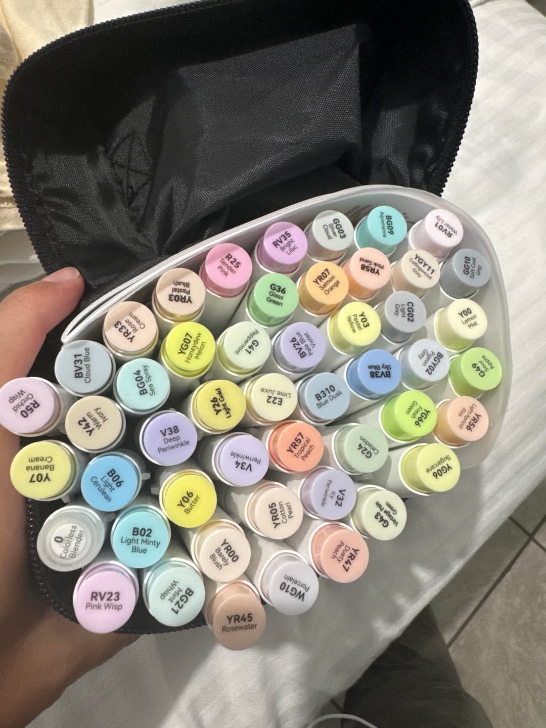 Customer photo review of Ohuhu Honolulu New 48 Pastel Colors Dual Tips Alcohol Art Markers - Blossoming (New Color Codes)