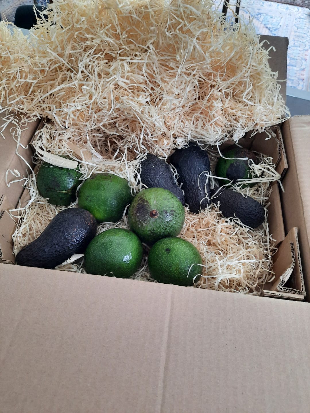 Customer photo review of Avocado Retterbox "Späternte" von Juan 3kg