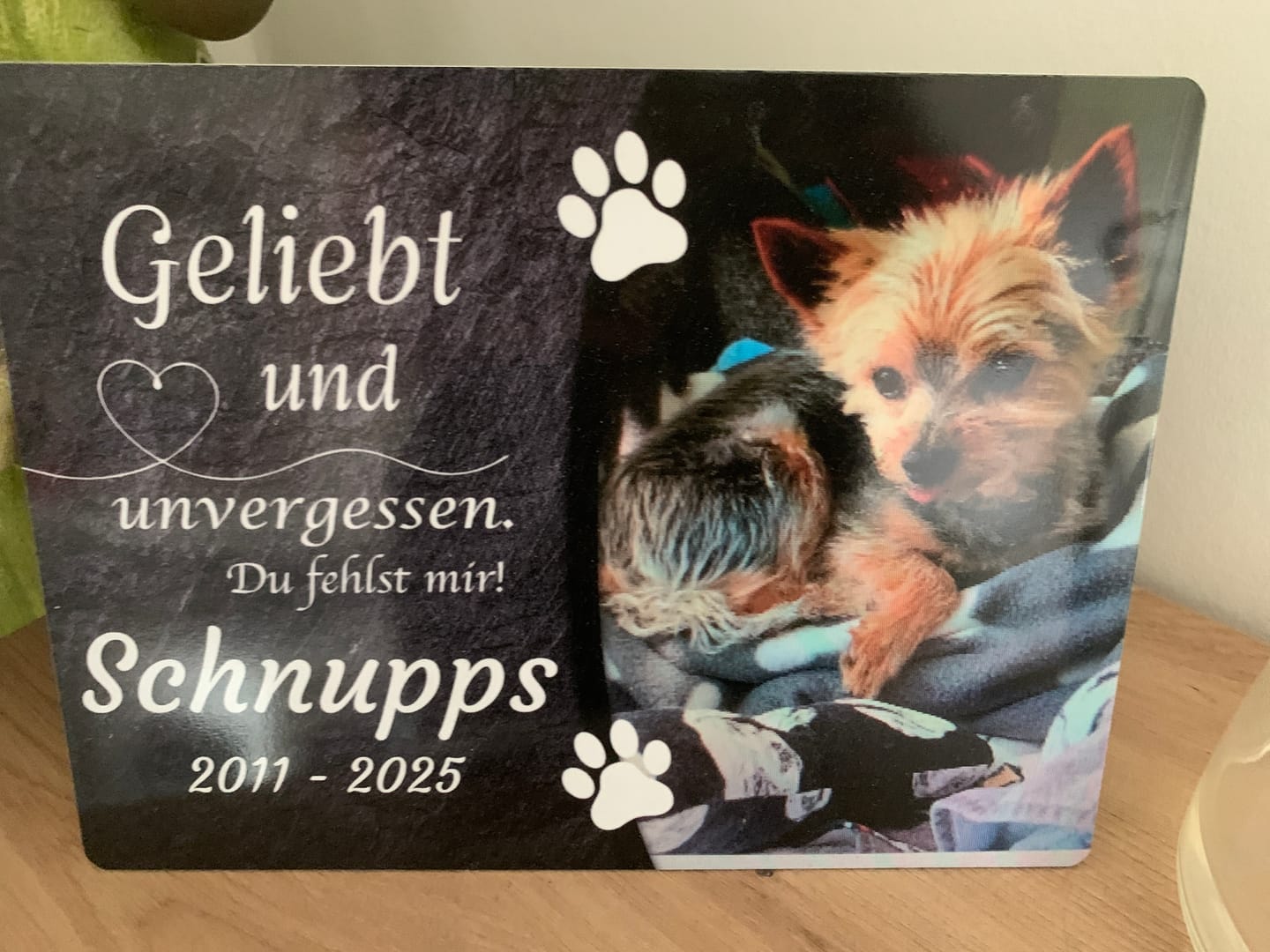 Customer photo review of Hunde Gedenktafel mit Foto & Spruch (UV- & Wetterfest)