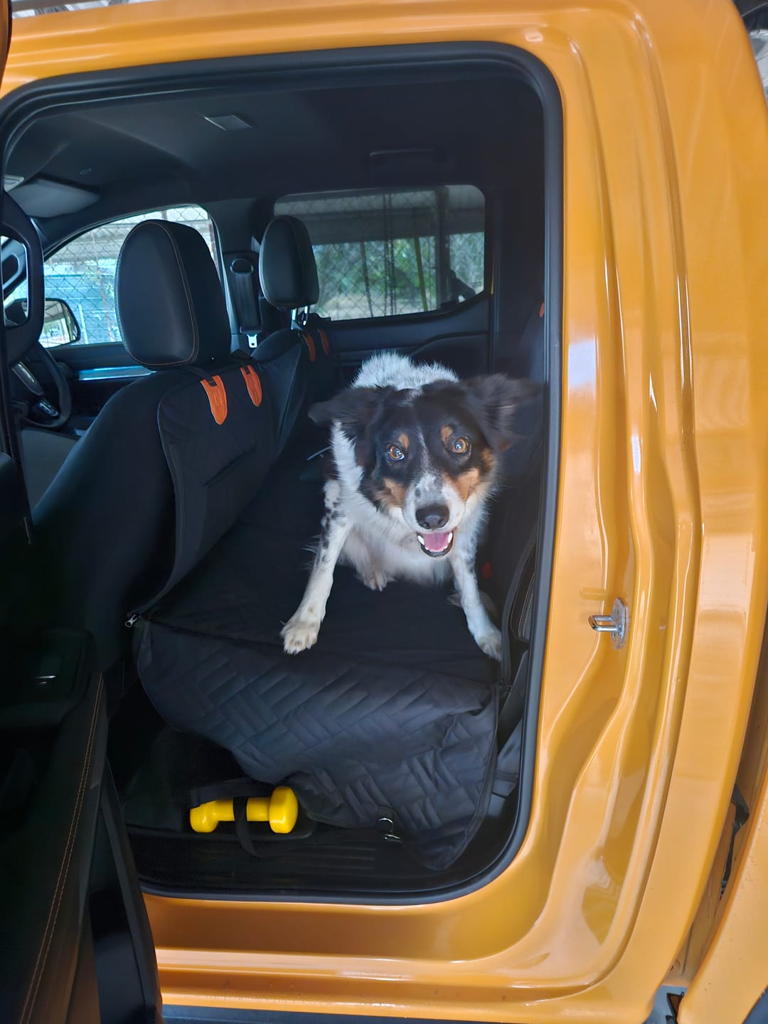 Customer photo review of Companion&Co™ Hard Bottom Car Seat Cover