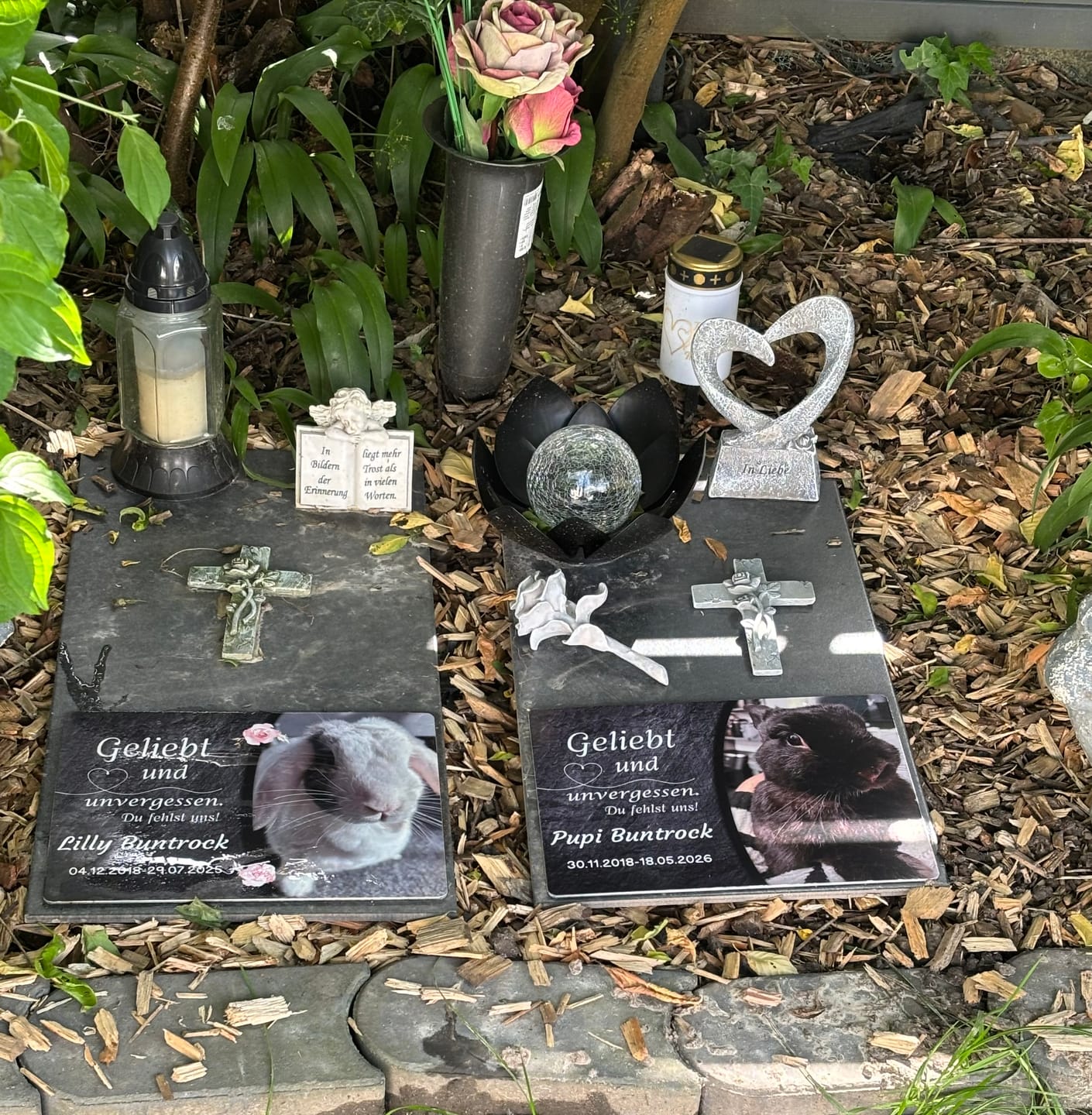 Customer photo review of Kaninchen Gedenktafel mit Foto & Spruch (UV- & Wetterfest)