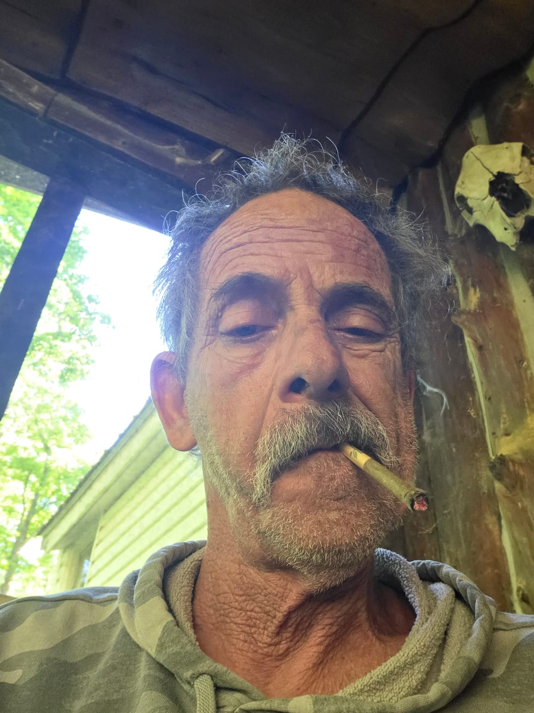 Customer photo review of Blue Dream Pre Roll 1 Gram - 6ct.