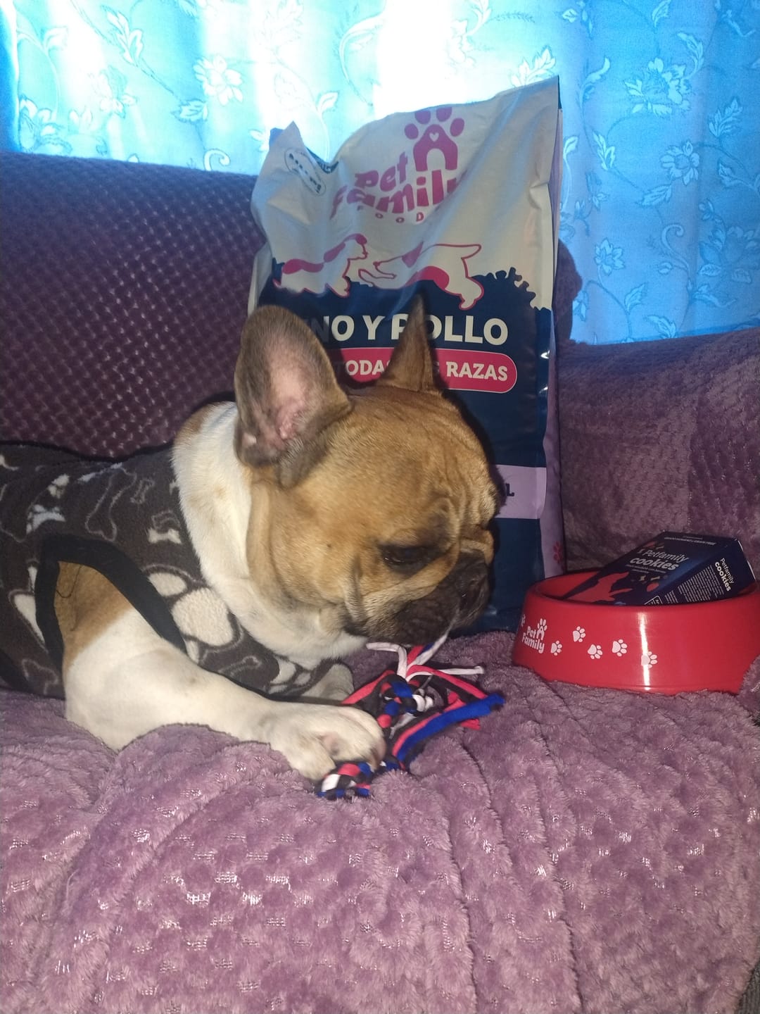 Customer photo review of PetFamily Foods