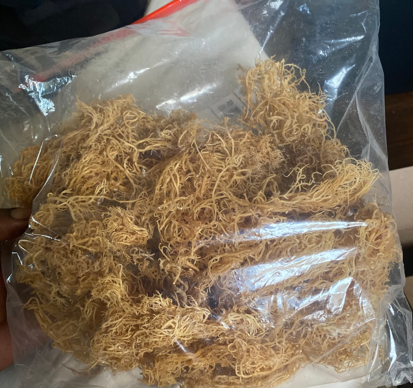 Customer photo review of Sea Moss from the pristine waters of St. Lucia- wildcrafted