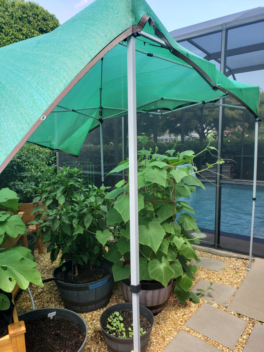 Customer photo review of 30% Shade Cloth