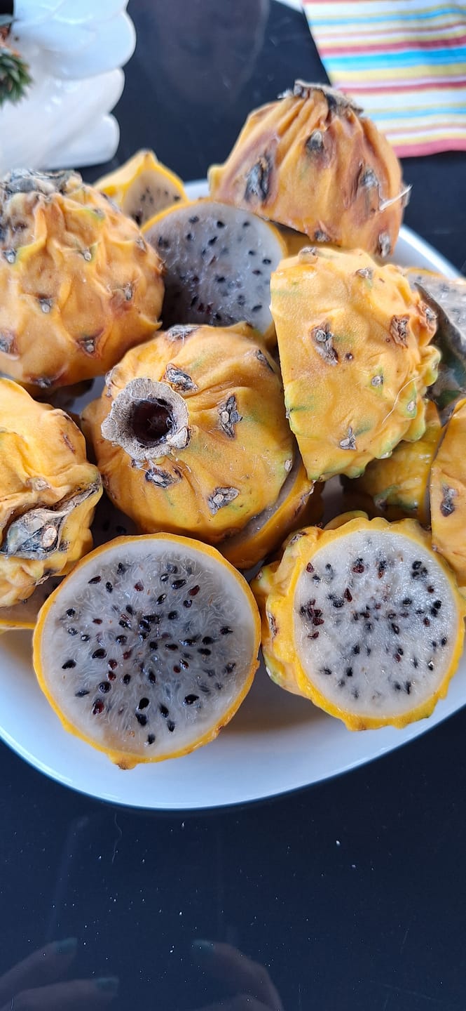 Customer photo review of Goldene Drachenfrucht Sonderaktion % 2kg