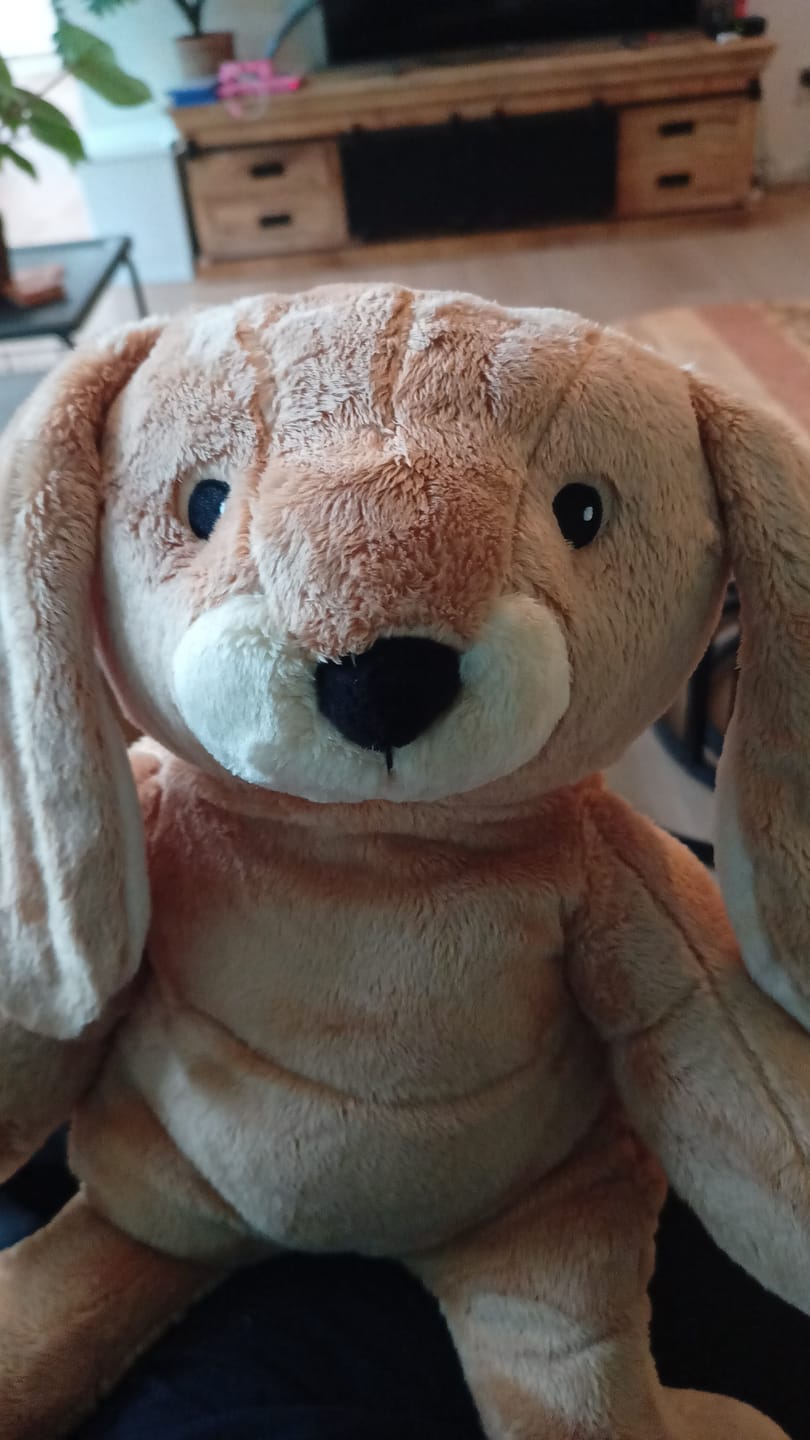 Customer photo review of Lotgenootje Konijn 2kg