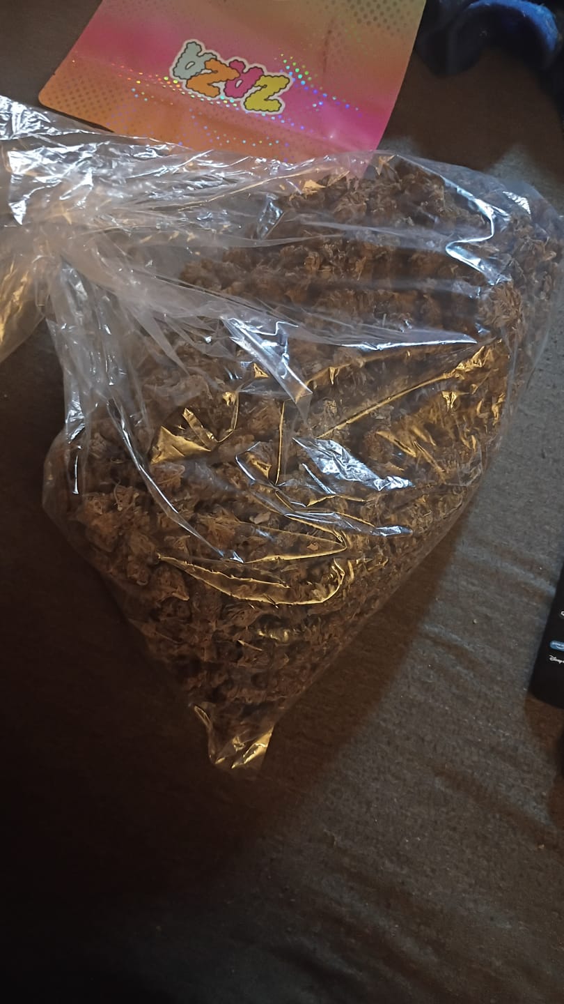 Customer photo review of Butterscotch OG - Bulk - Indica