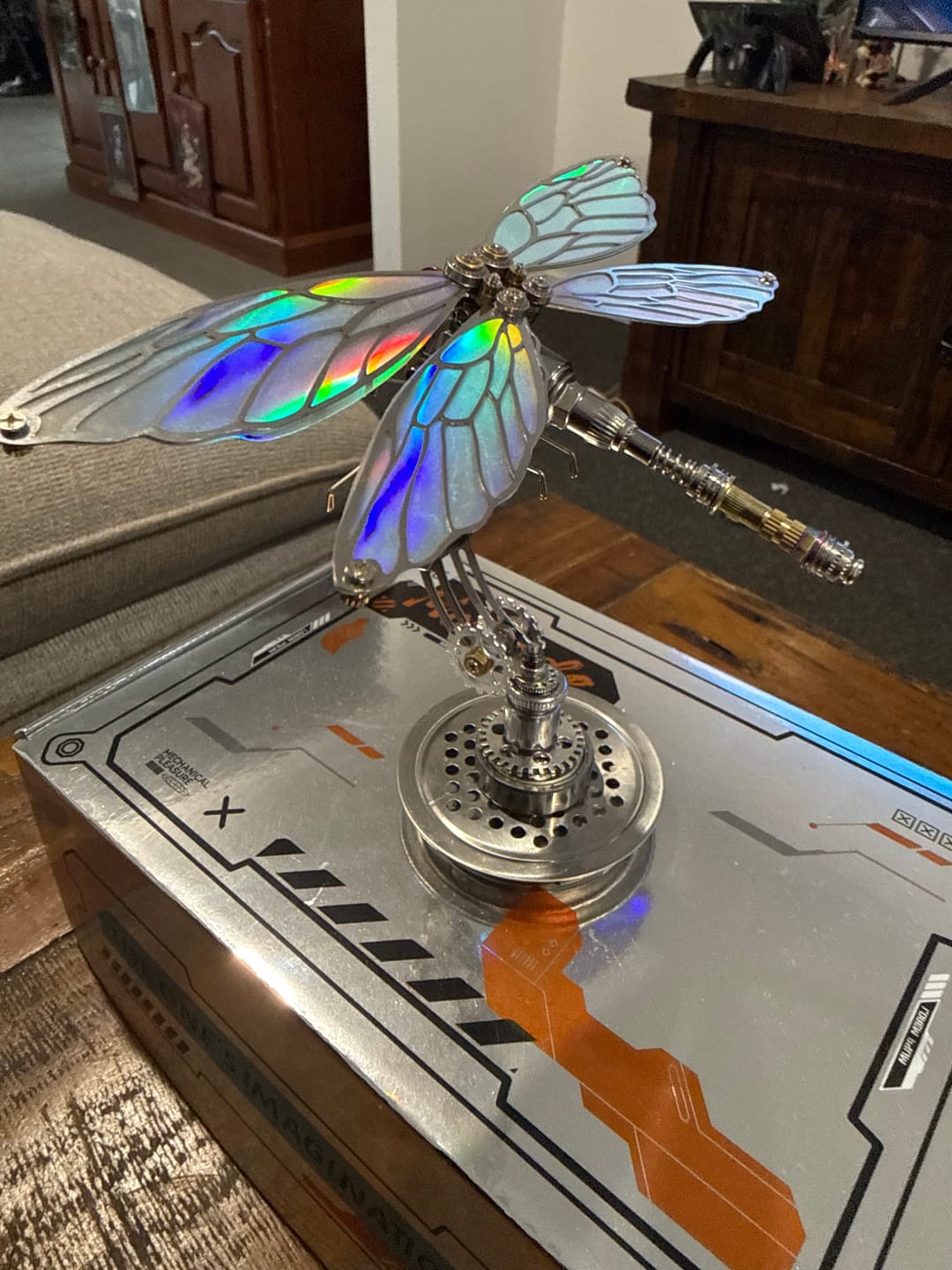 Customer photo review of Dragonfly