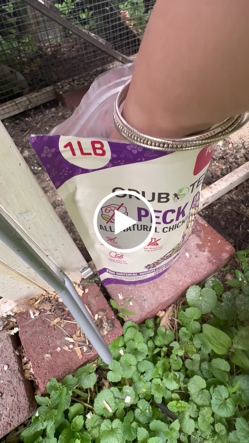 Customer video review of Peck Purity Daily Digestive Defense for Flock Strength WholeSale