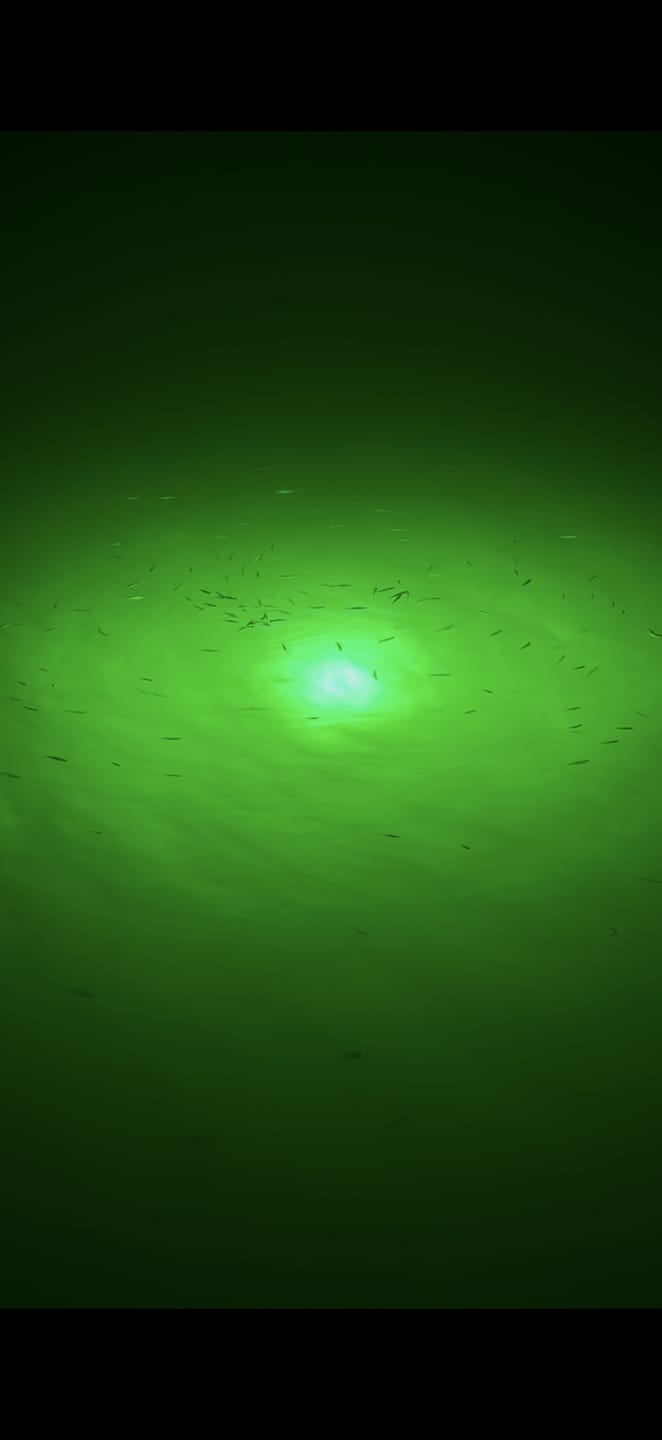 Customer photo review of Sea Floor Dock Light-Green-SF100G