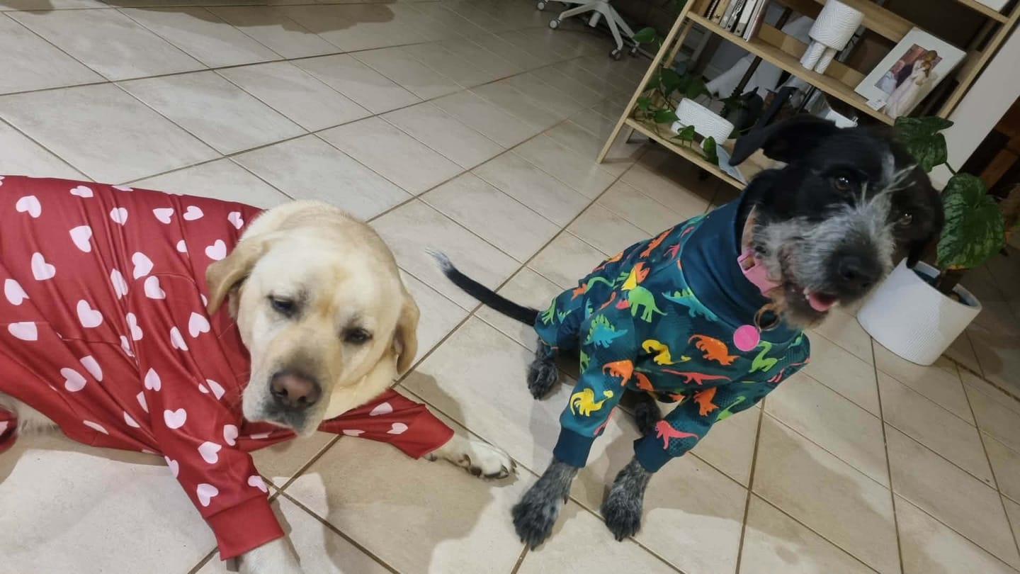 Customer photo review of Dog Pajama - Dinosaurs