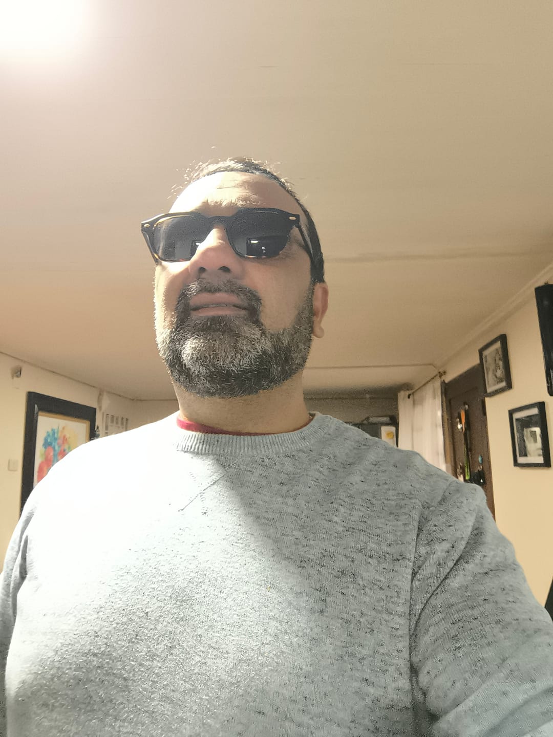Customer photo review of MOLKO LATE