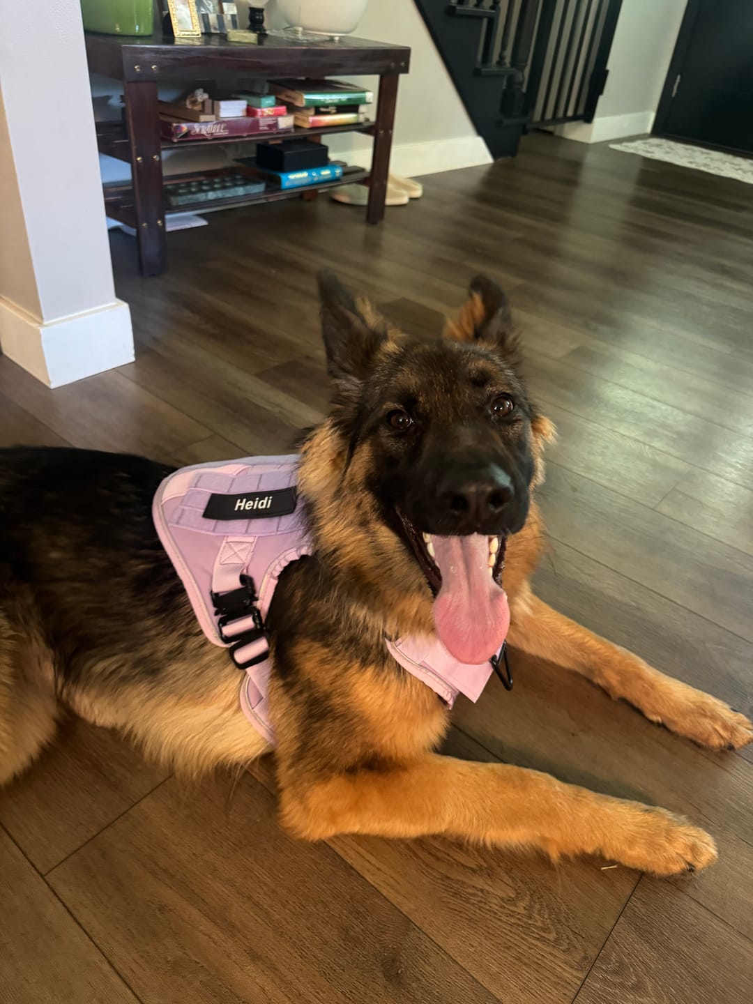 Customer photo review of Custom Hook & Loop Patch For Harness (Printed - 1 Pair)