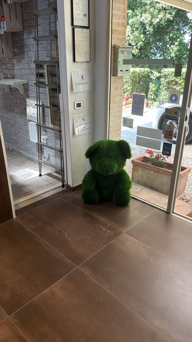 Customer photo review of Orso Verde Grande in Erba Sintetica H.75x60x40 cm