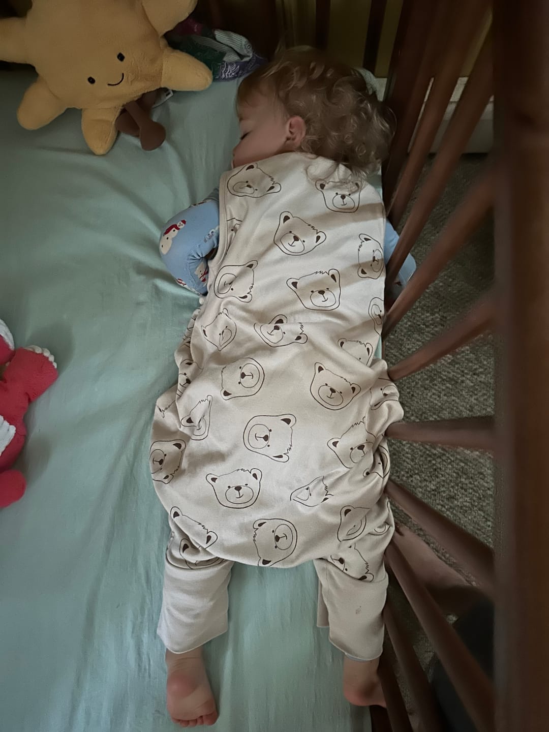 Customer photo review of 4 Season® Baby Sleep Bag with Feet, Merino Wool & Organic Cotton, Teddy Bear