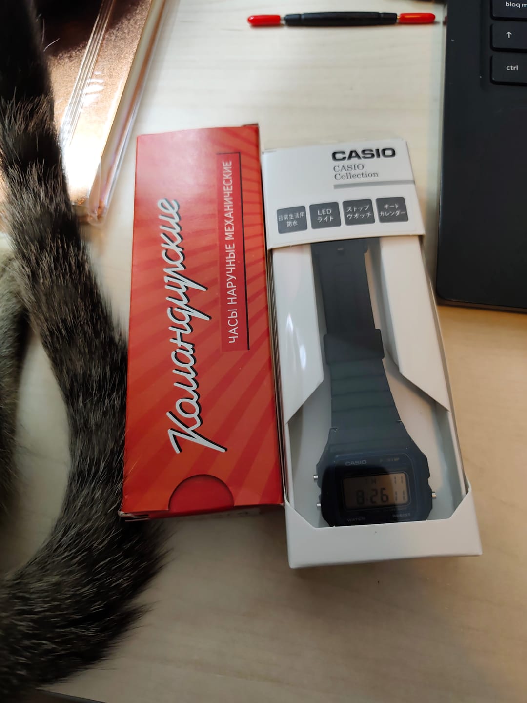 Customer photo review of Reloj Casio Vintage F-91W-1JH Packaging JDM