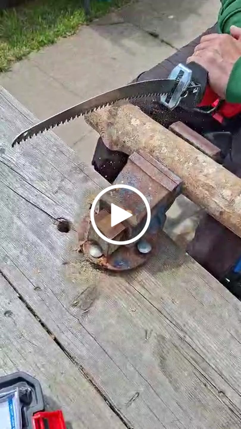 Customer video review of Tree Trimming/Wood Cutting – Japanese Teeth Arc Edge 6 TPI Reciprocating Saw Blade