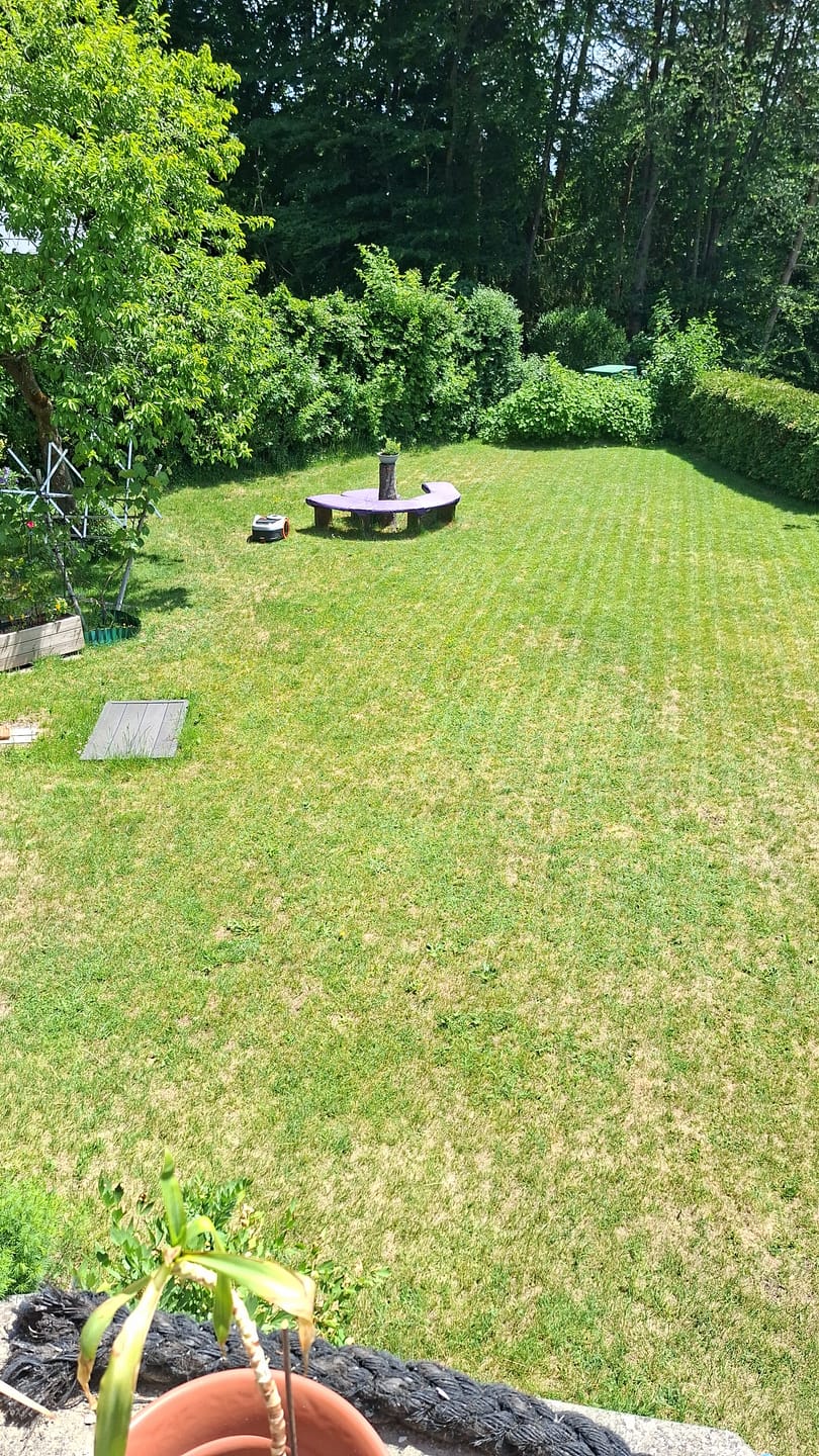 Customer photo review of RASENBLITZ™ - SOMMERDÜNGER