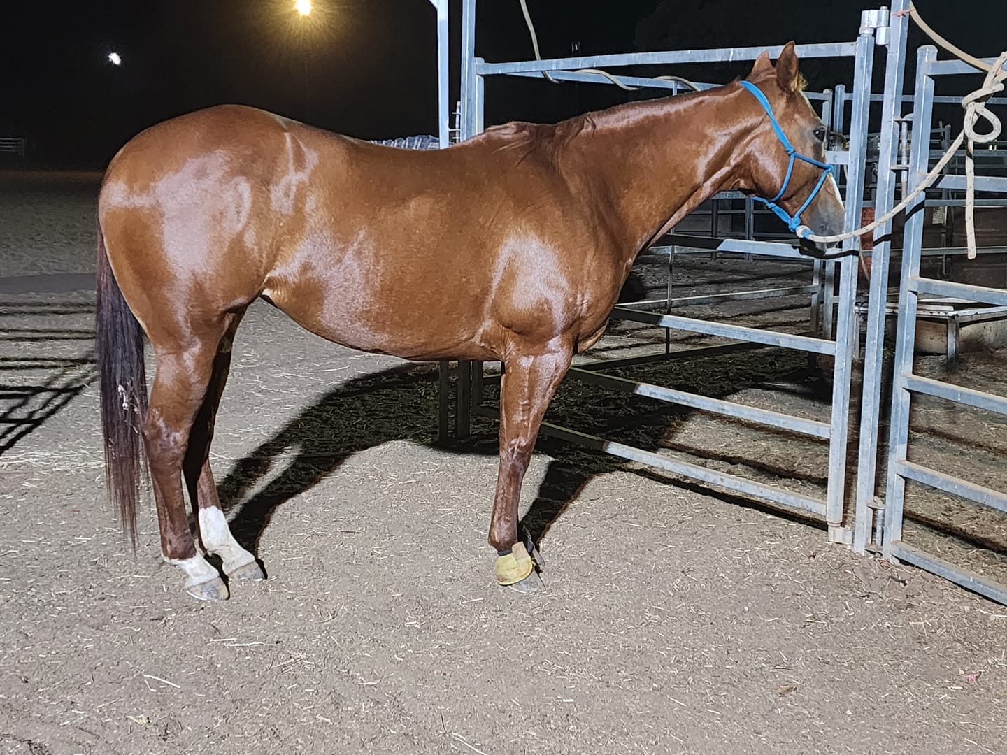 Customer photo review of KER Sucralox
