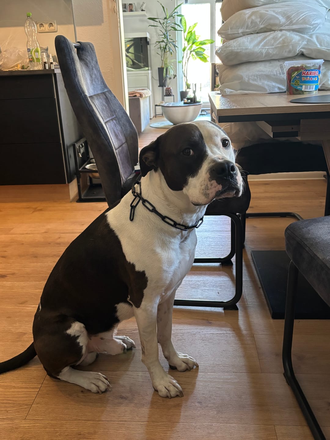 Customer photo review of Langgliedrige Eastside Chain