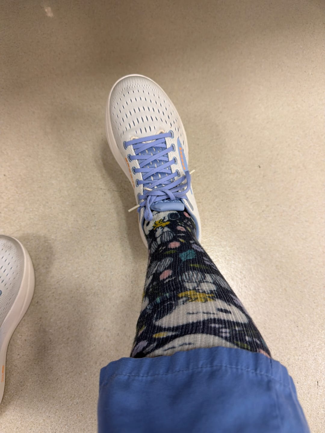 Customer photo review of Beagle Ballet Compression Socks