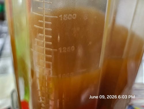 Close-up of a reviewer's brown tincture in a measuring cup, made with the Roll Ready Ground flower.