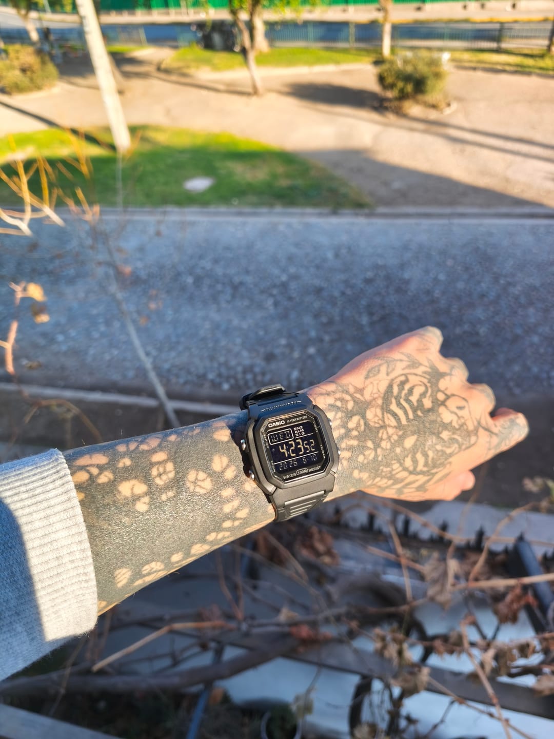 Customer photo review of Reloj Casio Vintage W-800H-1BV Negro Pantalla Negativa