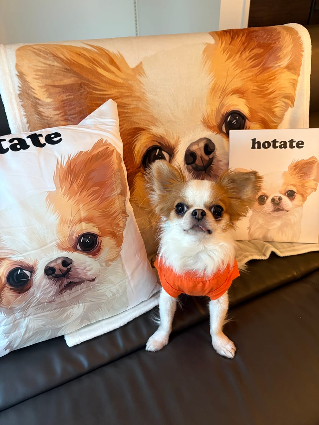 Customer photo review of Petcanva©オーダーメイド ペット似顔絵【3点セット】