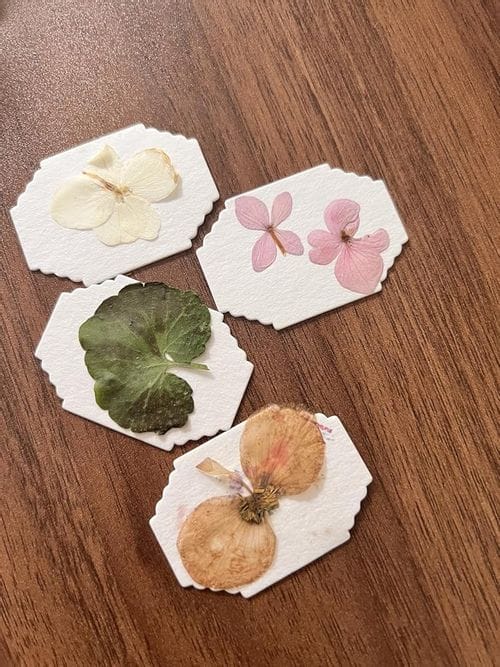 Customer photo review of Mini Flower Press