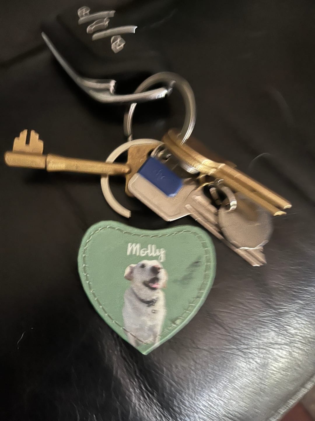 Customer photo review of Pet portrait - Personalised Keychain