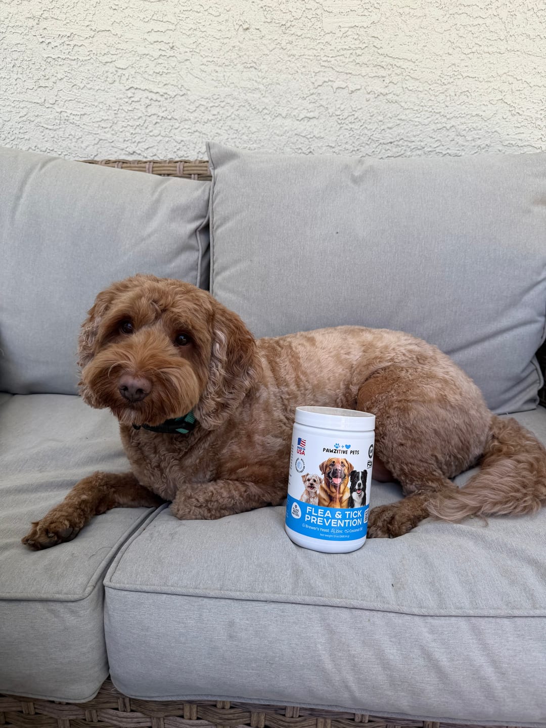 Customer photo review of Flea and Tick Prevention for Dogs – 120 Soft Chews