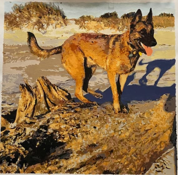 Customer photo review of Custom Paint By Numbers - Personalized Pet Portraits