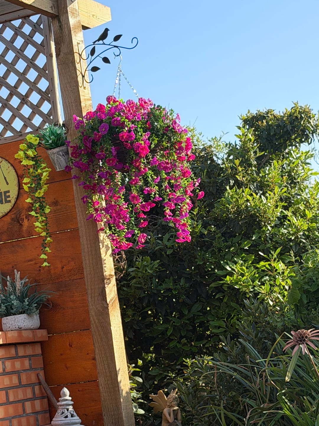 Customer photo review of Outdoor Hanging Petunia Basket - Purple
